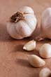 herbs for bacterial infections - garlic
